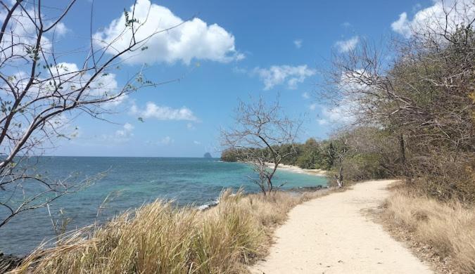 Felix, T2 Acces Plage Gros-Raisins Sainte-Luce Exterior photo